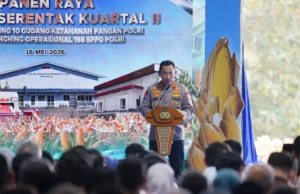 Panen Raya Jagung Polri Capai 1,23 Juta Ton, Kapolri Lapor ke Presiden Prabowo Panen Raya Jagung Polri Capai 1,23 Juta Ton, Kapolri Lapor ke Presiden Prabowo